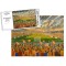 Bloomfield Road Stadium Fine Art Jigsaw Puzzle - Blackpool FC