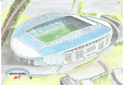 Brighton & Hove Albion FC Amex Stadium Wall Art Print