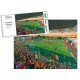 Woking FC Kingfield Stadium Fine Art Jigsaw Puzzle 