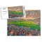 The Stoop Stadium Fine Art Jigsaw Puzzle - Harlequins Rugby Union